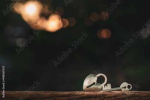 Heart-shaped lock and key in public park. photo