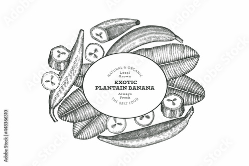 Hand drawn sketch style plantain banner. Organic fresh fruit vector illustration. Retro exotic banana fruit design template