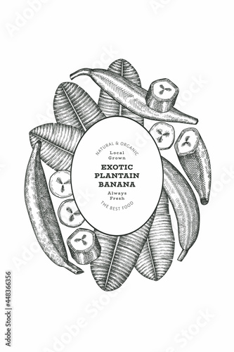 Hand drawn sketch style plantain banner. Organic fresh fruit vector illustration. Retro exotic banana fruit design template