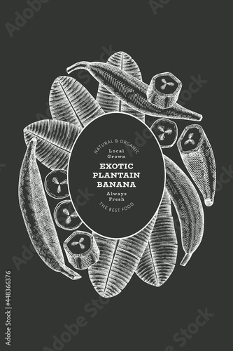 Hand drawn sketch style plantain banner. Organic fresh fruit vector illustration on chalk board. Retro exotic banana fruit design template