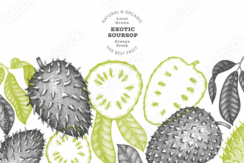 Hand drawn sketch style soursop fruit banner. Organic fresh fruit vector illustration. Retro guanabana design template