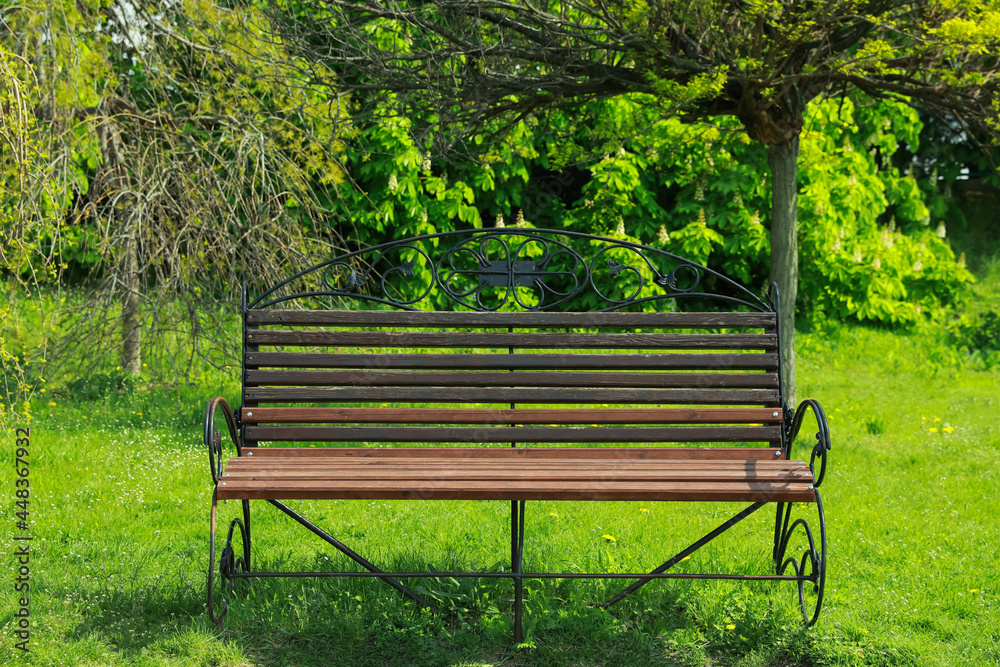 Beautiful wooden bench in park on sunny day Beautiful wooden bench in park on sunny day