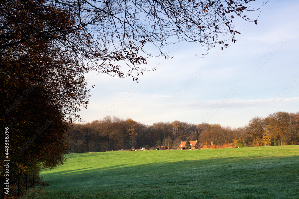Obraz premium View on a field near the Dutch village Milsbeek