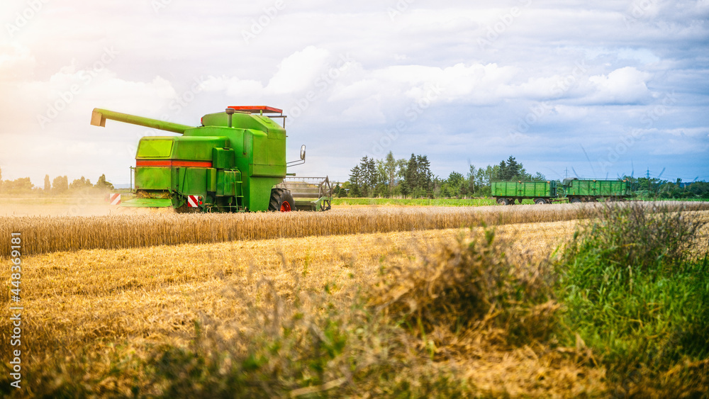 Naklejka premium Mähdrescher erntet auf Feld im Sommer