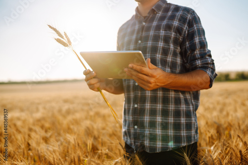 Modern agriculture technology. Smart farming concept. Farmer checking wheat field progress  holding tablet using internet.
