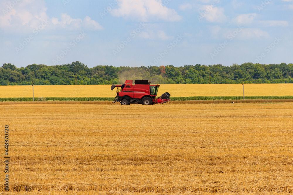 Combine harvester working on a wheat field. Harvesting the wheat. Agriculture concept Combine harvester working on a wheat field. Harvesting the wheat. Agriculture concept