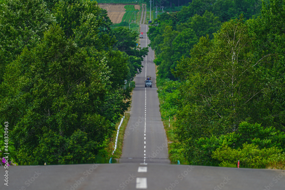 田舎の一本道