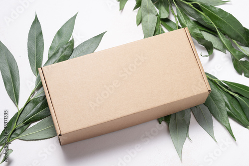 Brown Cardboard Carton box ob fresh green leaves