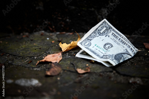One American dollar lies on a stone street among fallen leaves