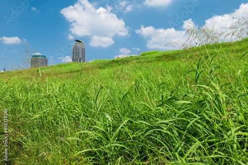 夏の埼玉県川口市の風景　荒川河川敷　8月 photo