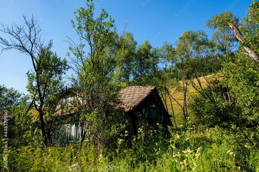 Abandoned deteriorated wood house , big green vegetation on a hot summer day  in Romania.