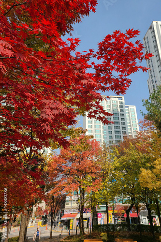 autumn in the city