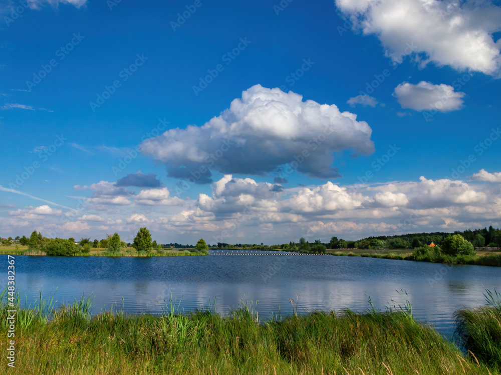 Beautiful lake and green land during the sunny summer day