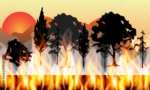 Forest fires summer 2021, realistic fire and trees in the forest, vector illustration