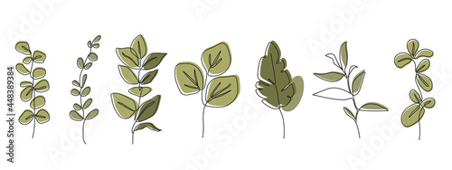 One line botanical plant set vector, abstract tropical leaves art one line style, summer leaf elements, floral vector illustration