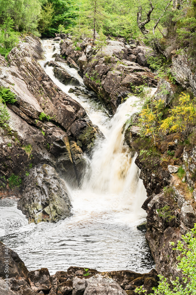The Rogie Falls, a series of waterfalls near the village of Contin, Ross-Shire, Scotland, UK, viewed here from the suspension bridge. The Rogie Falls, a series of waterfalls near the village of Contin, Ross-Shire, Scotland, UK, viewed here from the suspension bridge.