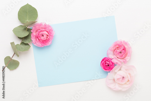 Beautiful colored ranunculus flowers on a white background. Spring greeting card.