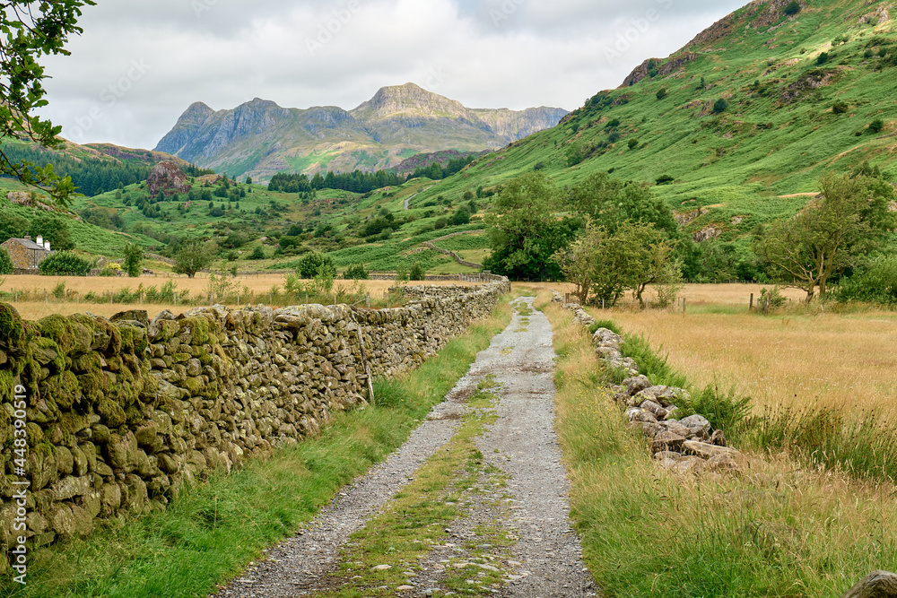 Views of the Lake District, Langdale Pikes and Side Pike using dry stone walls as leading lines Views of the Lake District, Langdale Pikes and Side Pike using dry stone walls as leading lines