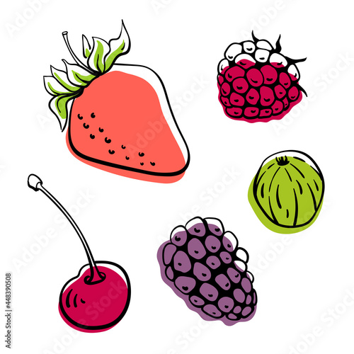 Strawberry, cherry, blackberry, gooseberry, raspberry. Colorful line sketch collection of fruits and berries isolated on white background. Doodle hand drawn fruits. Vector illustration