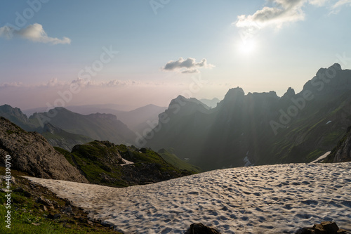 Altmann in der Schweiz photo