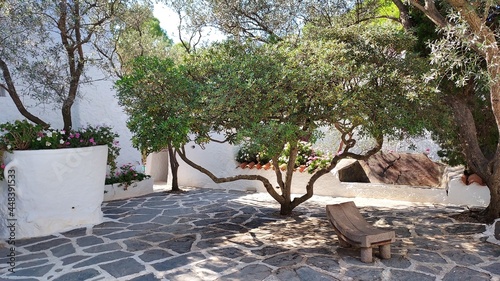 patio with trees