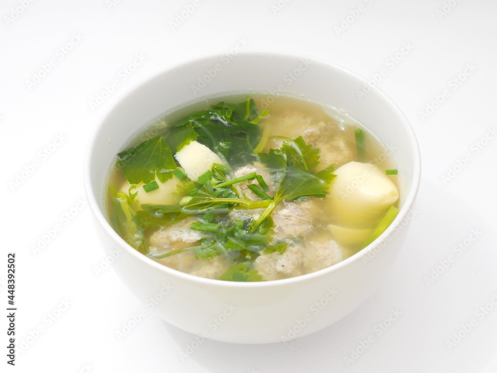 Picture of the soup with pork tofu and coriander Picture of the soup with pork tofu and coriander