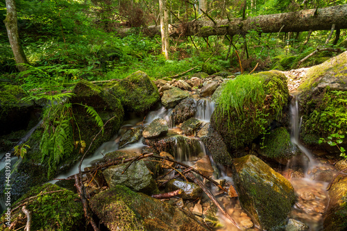 Cascade de l Andelau Cascade du Hohwald Wasserfall