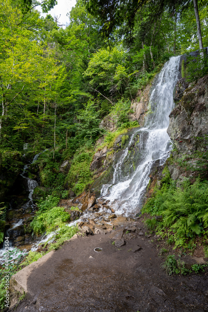 Cascade de l Andelau Cascade du Hohwald Wasserfall