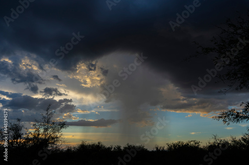 A rain shaft from a summer monsoon storm over the desert