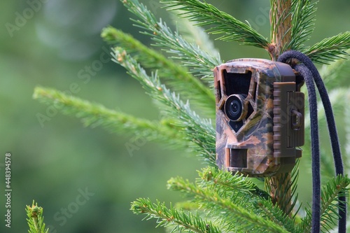 Foto Camouflage wildlife camera trap on the tree