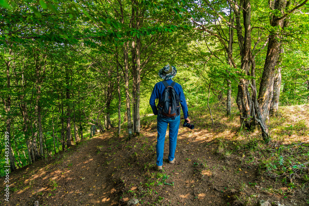 Photographer traveler with a backpack walks in forest along the path