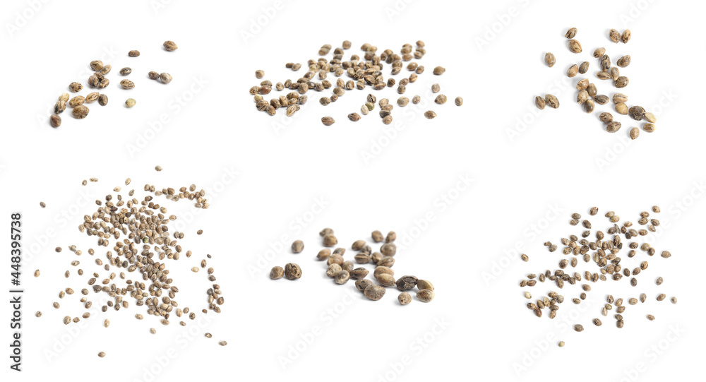 Set with hemp seeds on white background. Banner design Set with hemp seeds on white background. Banner design