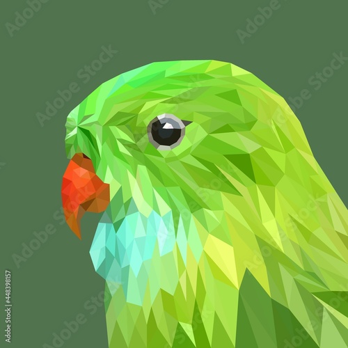 Parrot face with geometry design, low poly triangular and wire frame vector illustration EPS 10 isolated. Polygonal style trendy modern logo design. Suitable for printing on a t-shirt.