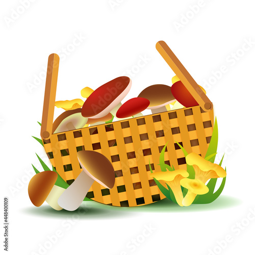 Mushroom basket illustration