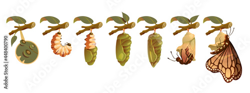 Butterfly metamorphosis horizontal set showing development cycle from egg to adult insect realistic vector illustration.