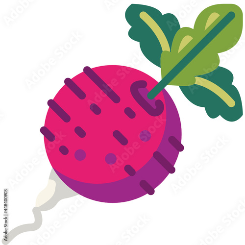 beetroot flat icon