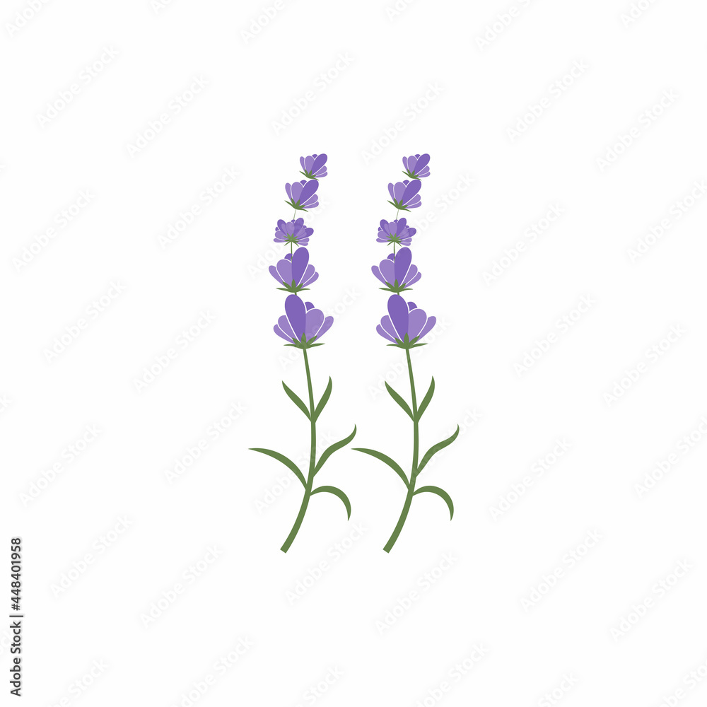 Lavender Logo Template vector symbol nature Lavender Logo Template vector symbol nature