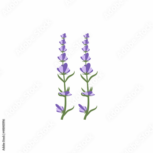 Lavender Logo Template vector symbol nature