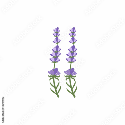 Fototapeta Naklejka Na Ścianę i Meble -  Lavender Logo Template vector symbol nature