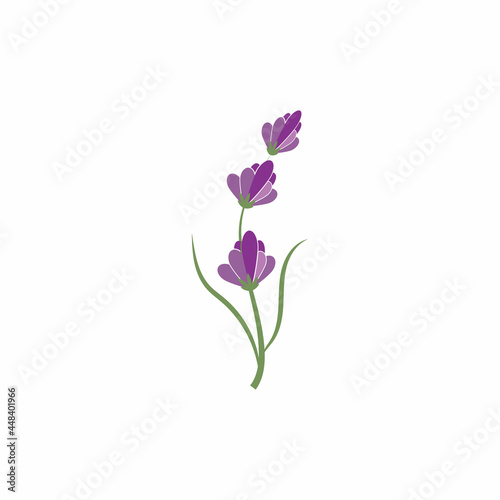 Lavender Logo Template vector symbol nature