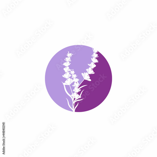 Lavender Logo Template vector symbol nature © evandri237@gmail