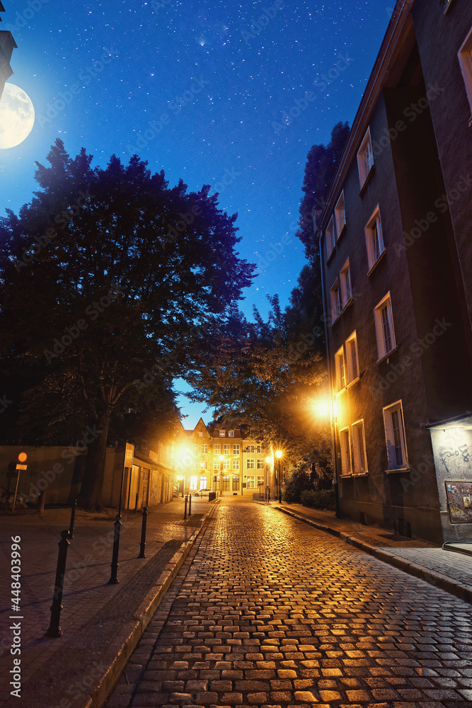 view of the old town and a beautiful street in Gdansk City on a moonlit night