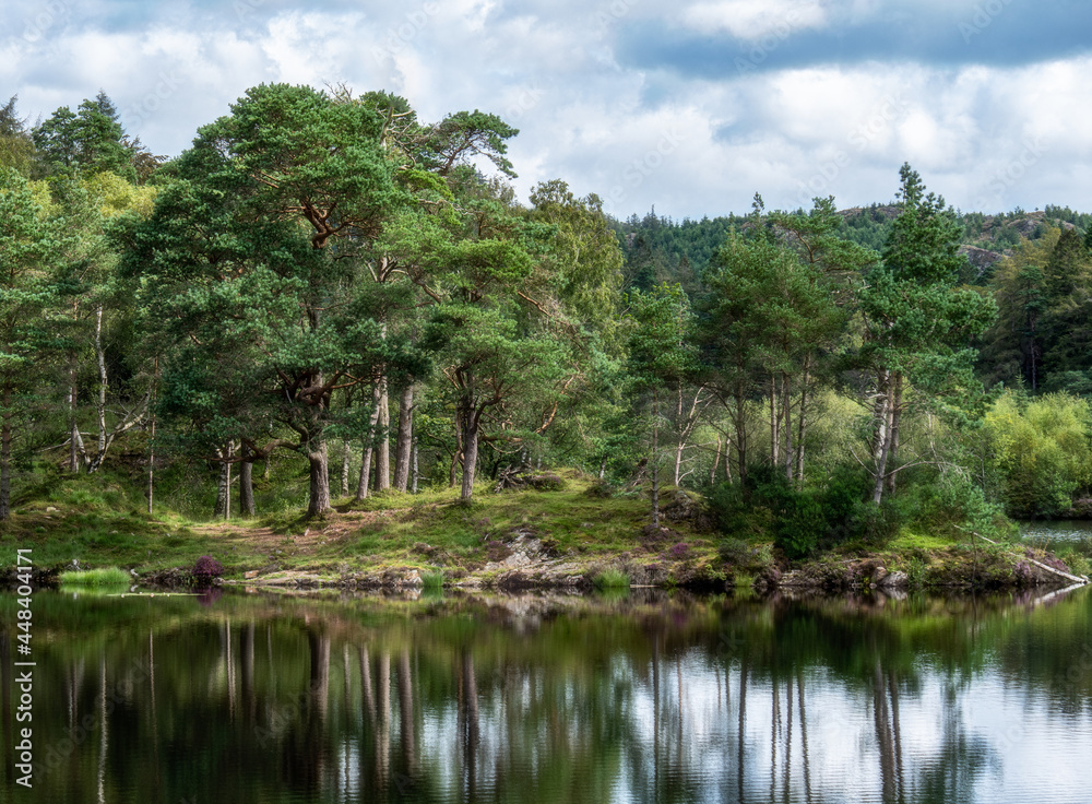 Tarn Hows in Summer II Tarn Hows in Summer II