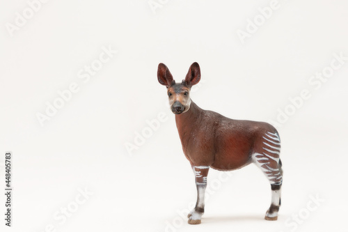 A miniature model of Okapi. Realistic plastic toy okapi isolated on a white background. Cute little animal toy for kids. Copy space © Михаил Князев