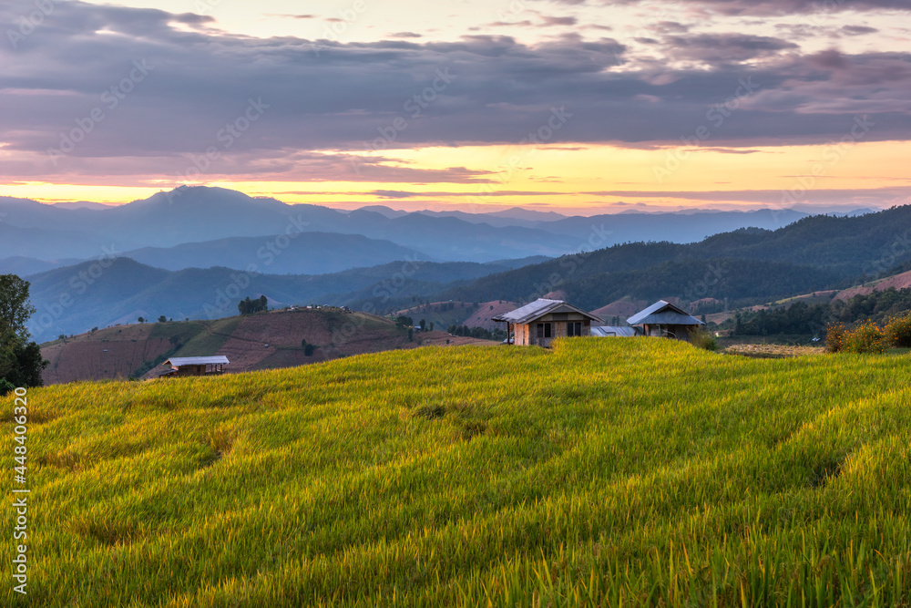 Obraz premium The beautiful rice terraces are located on a mountain at Pong Piang Village, Chom Thong District, Chiang Mai Province.