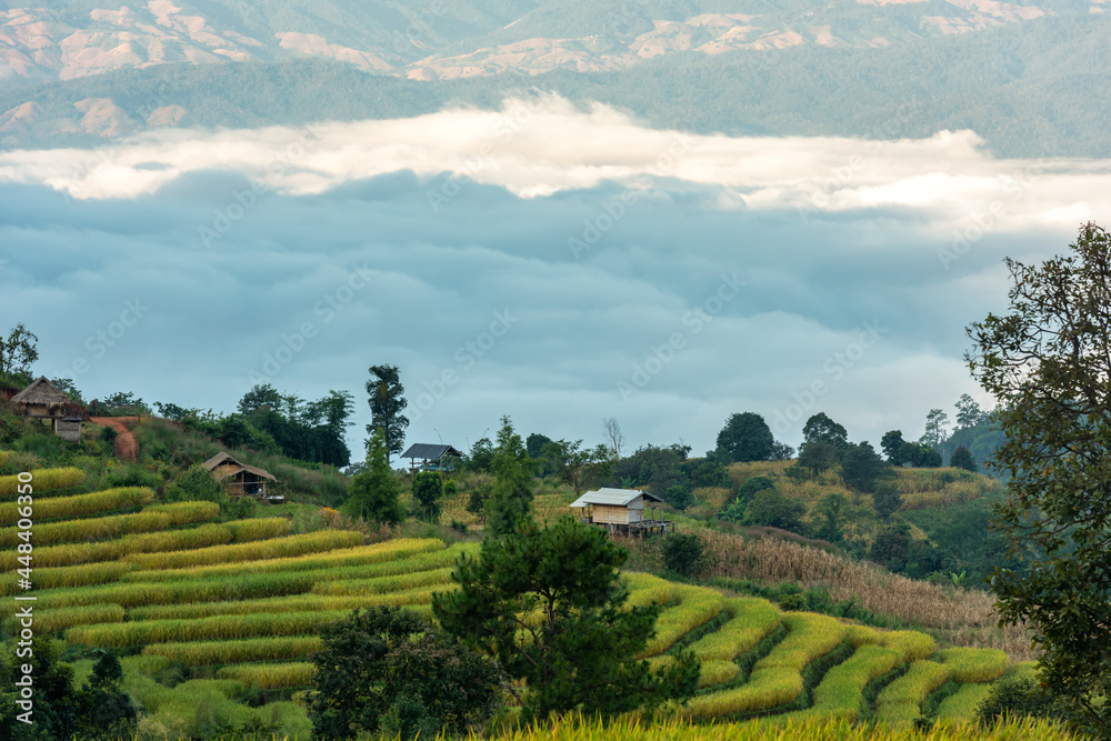 The beautiful rice terraces are located on a mountain at Pong Piang Village, Chom Thong District, Chiang Mai Province.