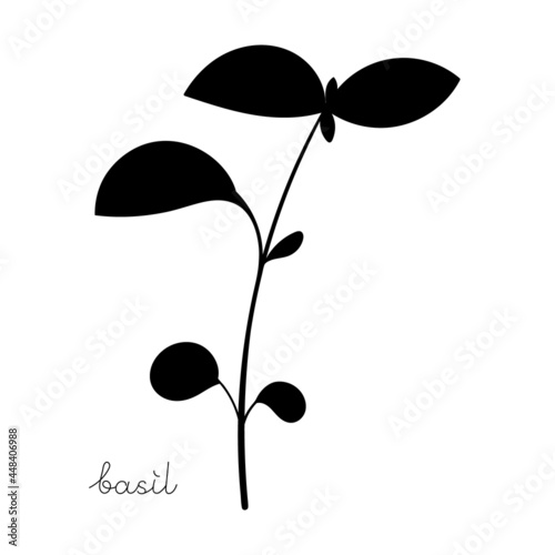 Basil sprouts black silhouette symbol. Icon Microgreen vector illustration. Green for home gardening