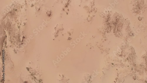Aerial view of  the onle desert in Ukraine - Oleshky sands