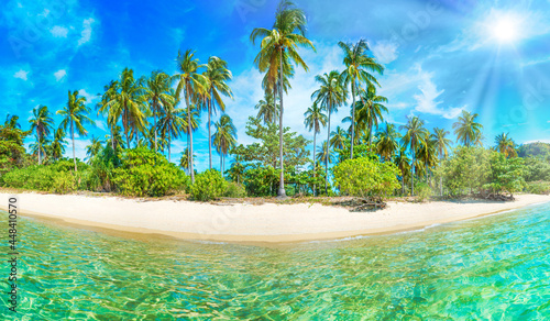 Panorama of beautiful beach on paradise tropical island with coconut palm trees  white sand and blue sea