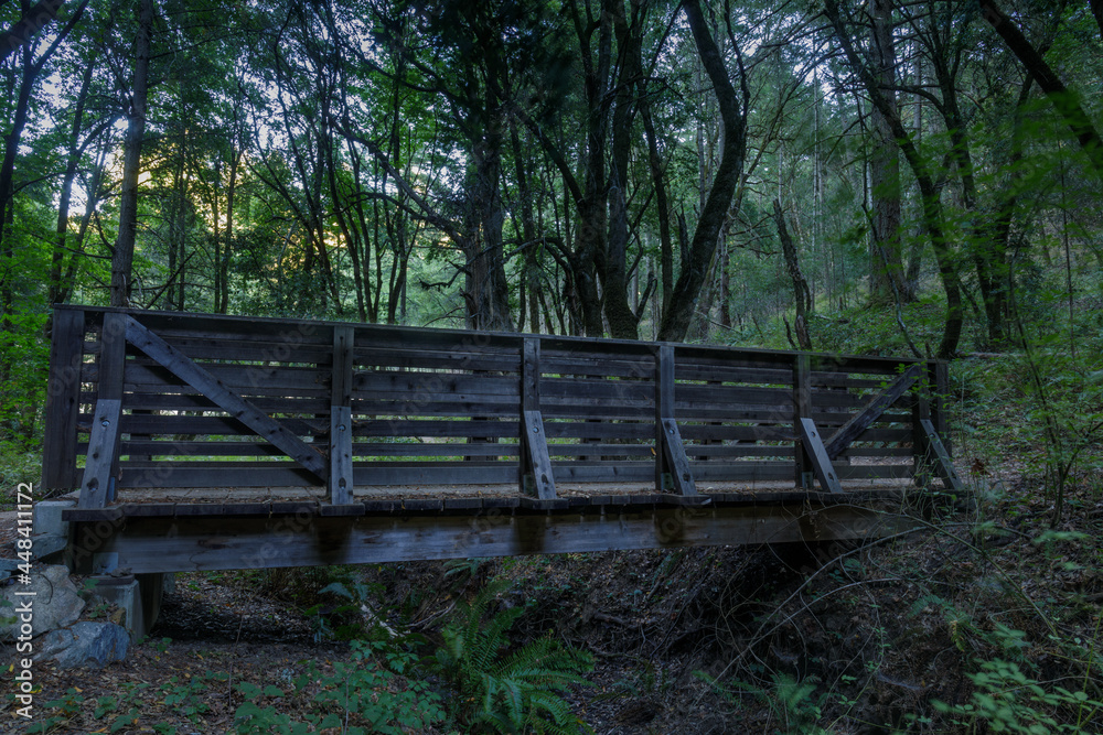 Wooden Footbridge Crossing Peters Creek. Long Ridge Open Space Preserve, Santa Clara County, California, USA.